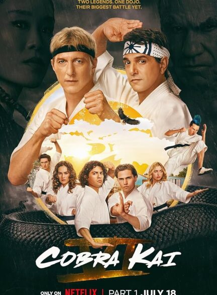 دانلود صوت دوبله سریال Cobra Kai