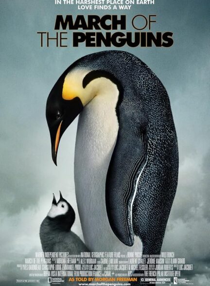 دانلود صوت دوبله فیلم March of the Penguins 2005