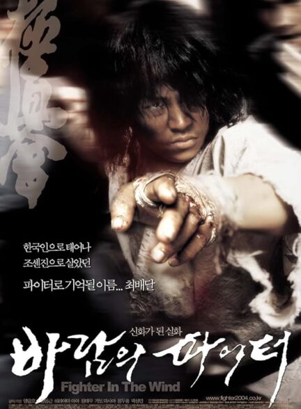 دانلود صوت دوبله فیلم Fighter in the Windr in the Wind