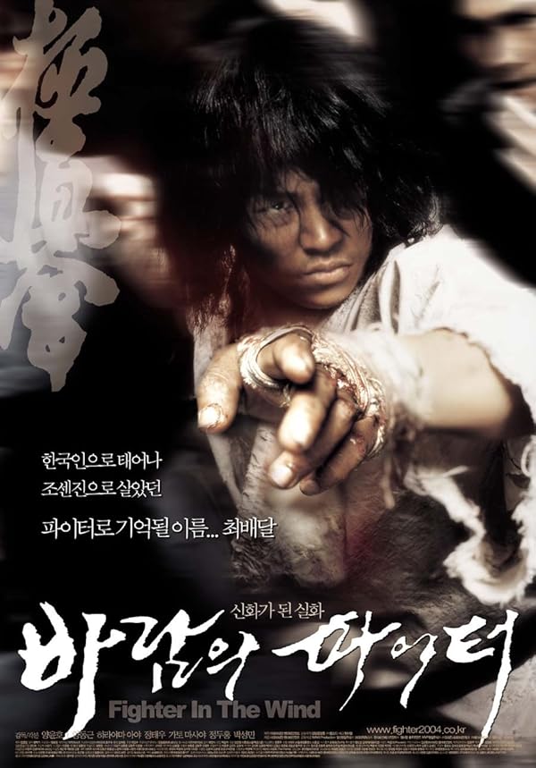 دانلود صوت دوبله فیلم Fighter in the Windr in the Wind