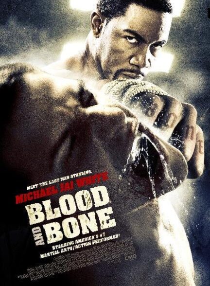 دانلود صوت دوبله فیلم Blood and Bone