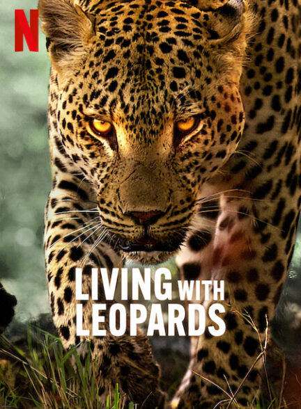 دانلود صوت دوبله فیلم Living with Leopards