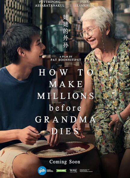 دانلود صوت دوبله فیلم How to Make Millions Before Grandma Dies