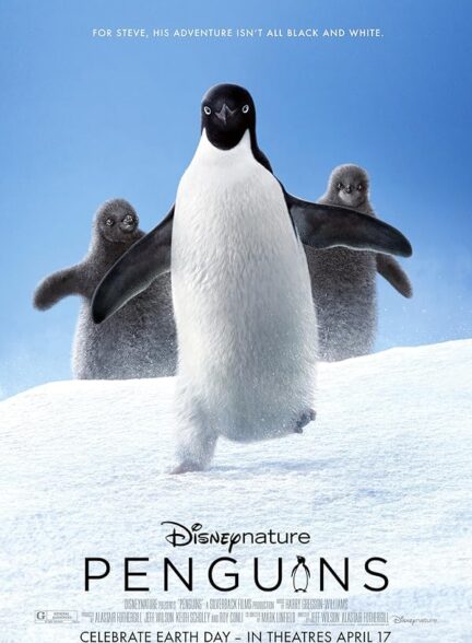 دانلود صوت دوبله فیلم Penguins 2019