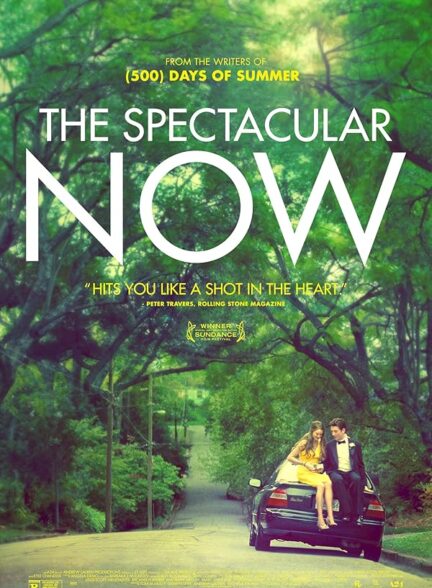 دانلود صوت دوبله فیلم The Spectacular Now