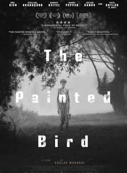 دانلود صوت دوبله فیلم The Painted Bird 2019