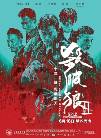 دانلود صوت دوبله فیلم Kill Zone 2 2015