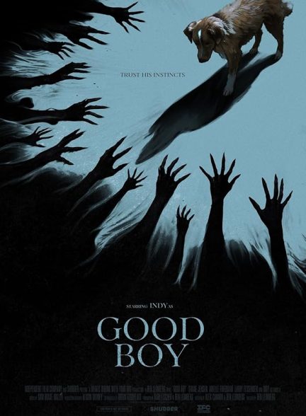 دانلود صوت دوبله فیلم Good Boy
