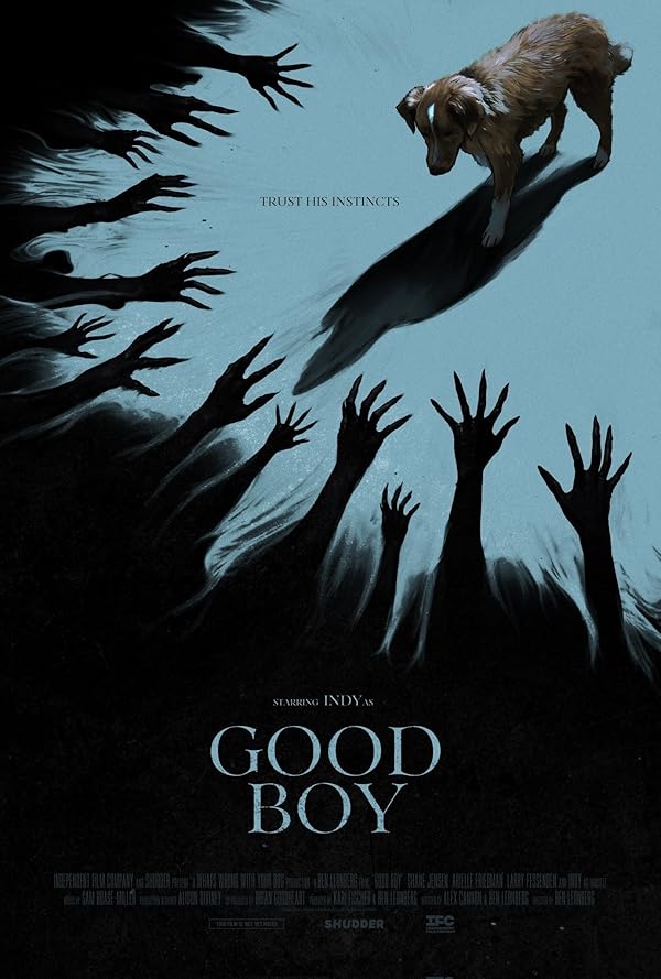 دانلود صوت دوبله فیلم Good Boy